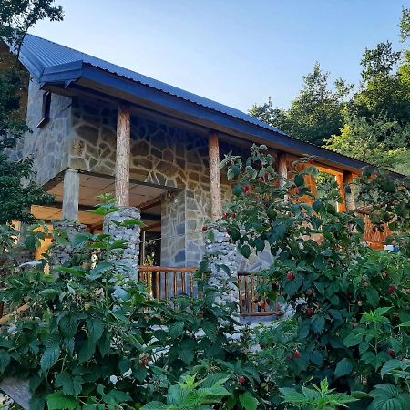 Fern Farm Eco Studio Apartment Mojkovac Eksteriør bilde